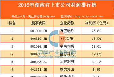 2016年湖南省上市公司利潤排行榜