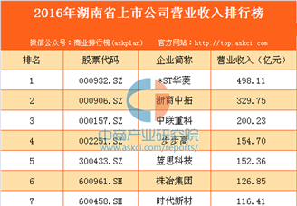 2016年湖南省上市公司营业收入排行榜