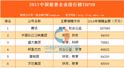 2017中国慈善企业排行榜TOP20