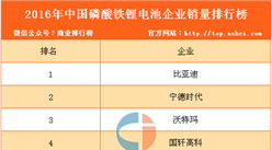 2016年中国磷酸铁锂电池企业销量排行榜（TOP10）