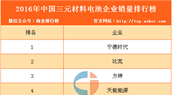 2016年中国三元材料电池企业销量排行榜（TOP10）