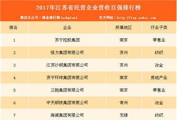 2017年江苏省民营企业100强排行榜