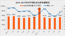 2017年1-6月中國電力工業運行情況分析（圖表）