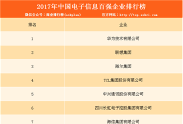 2017年中国电子信息百强企业排行榜