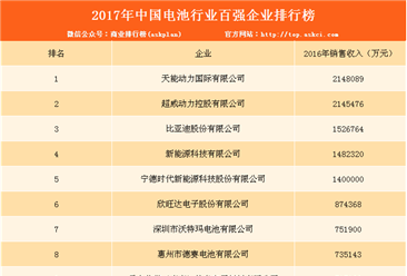 2017年中国电池行业百强企业排名：天能动力第一（附榜单）