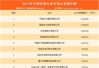 2017年中国电池行业百强企业排行榜