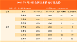 2017年全国玉米价格行情走势分析