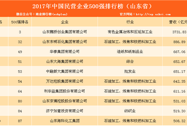 2017民营企业500强山东上榜名单：共57家 魏桥全榜第三（附完整排名）
