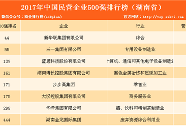 2017年民营企业500强排行榜（湖南全名单）