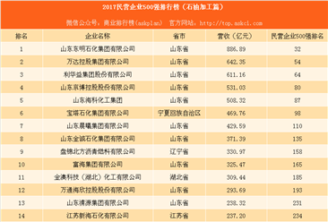 2017中国民营企业500强排行榜（石油开发篇）：东明石化第一（附名单）