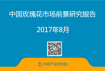 2017年中國玫瑰花市場前景研究報告（簡版）