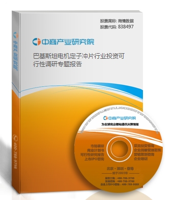 巴基斯坦電機(jī)定子沖片行業(yè)投資可行性調(diào)研專題報(bào)告