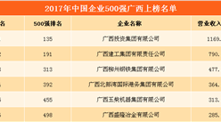 2017中國企業500強排行榜（廣西上榜企業名單）