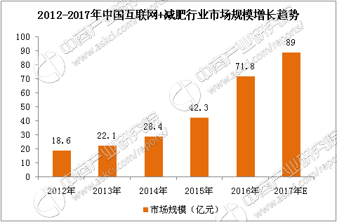 2017年中国互联网+减肥行业市场前景研究报告