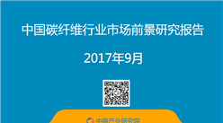 2017年中国碳纤维行业市场前景研究报告（简版）