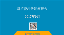 2017年新消费趋势洞察报告