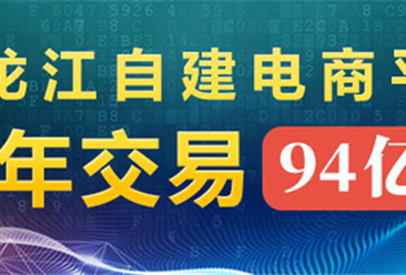 黑龙江163个自建电子商务平台半年实现网络交易额94亿元 同比增长14.8%