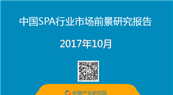2017年中国SPA行业市场前景研究报告 （简版）