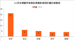 11月中国新开业的各类商业项目情况分析：华东一家独大 项目占总数的45%（图表）