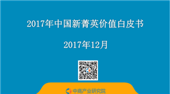 2017年中国新菁英价值白皮书 （全文）