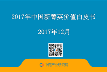 2017年中國新菁英價值白皮書 （全文）