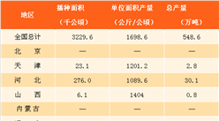 2017年中国棉花产量分析：棉花总产量达548.6万吨（表）