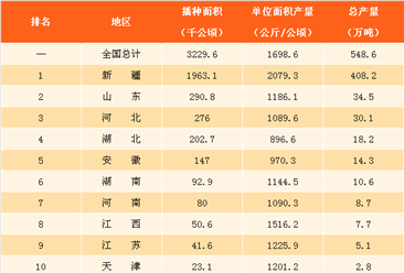 2017年中国各省市棉花总产量排行榜