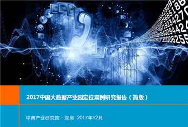 2017中国大数据产业园定位案例研究报告（简版）