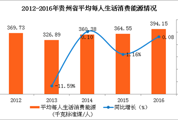貴州省人均生活消費能源情況分析（圖表）