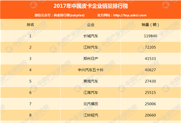 2017年中国皮卡企业销量排行榜（TOP10）