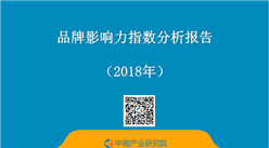 2018年品牌影响力指数分析报告（全文）