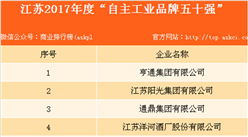 2017年江苏“自主工业品牌五十强”企业出炉：亨通集团位居榜首！（附榜单）