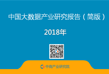 2018年中国大数据产业市场前景研究报告（全文）