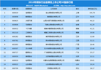 2018年中国民营企业500强排行榜(钢铁