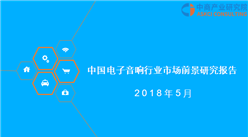 2018年中國電子音響行業市場前景研究報告（全文）
