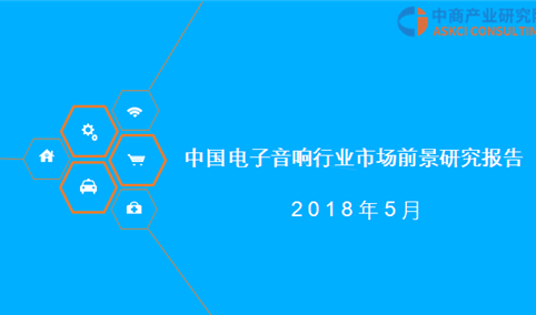 2018年中国电子音响行业市场前景研究报告（全文）