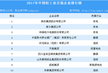 2017年中国轻工业百强企业排行榜
