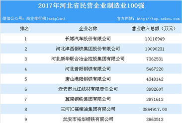 2017年河北民营企业制造业100强排行榜