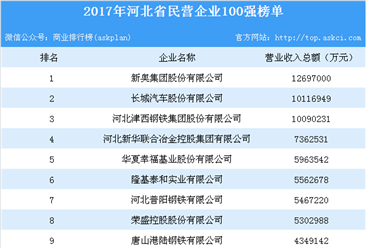 2017年河北省民营企业100强排行榜