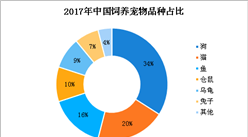 長沙市每戶限養(yǎng)兩只普通犬  我國寵物行業(yè)發(fā)展現(xiàn)狀如何？（圖）