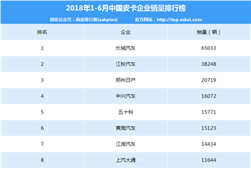 2018年1-6月中国皮卡企业销量排行榜（TOP10）