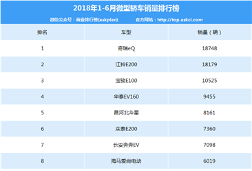 2018年上半年中国微型轿车销量排行榜