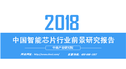 2018年中国智能芯片行业前景研究报告