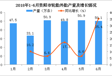 2018年6月贵阳市轮胎外胎累计产量同比增长17.6%