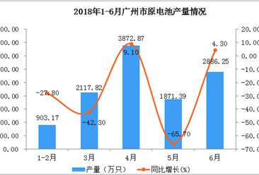 2018年上半年广州市原电池产量同比增长21.9%