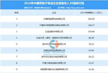2018年中国锂离子电池企业销售收入30强排行榜
