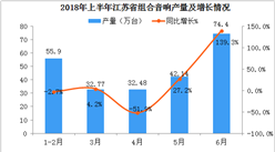 2018年6月江蘇省組合音響產量同比增長139.3%（附圖表）