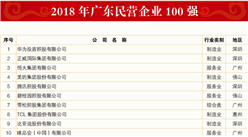 2018年广东民营企业100强排行榜