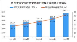 2017年貴州省固定互聯(lián)網(wǎng)寬帶用戶規(guī)模達(dá)567.2萬(wàn)戶  增速創(chuàng)6年新高