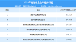 2018年青海省企業50強排行榜